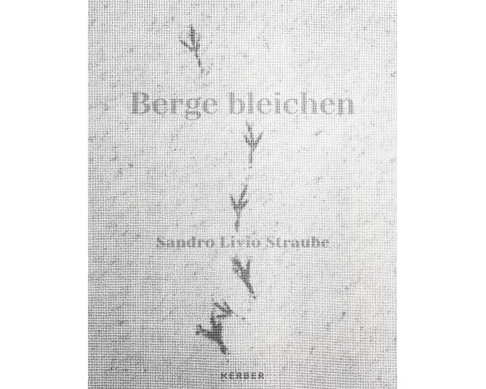 Sandro Livio Straube