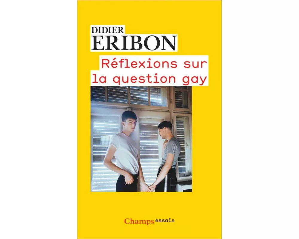 Réflexions sur la question gay