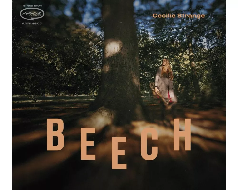 Beech