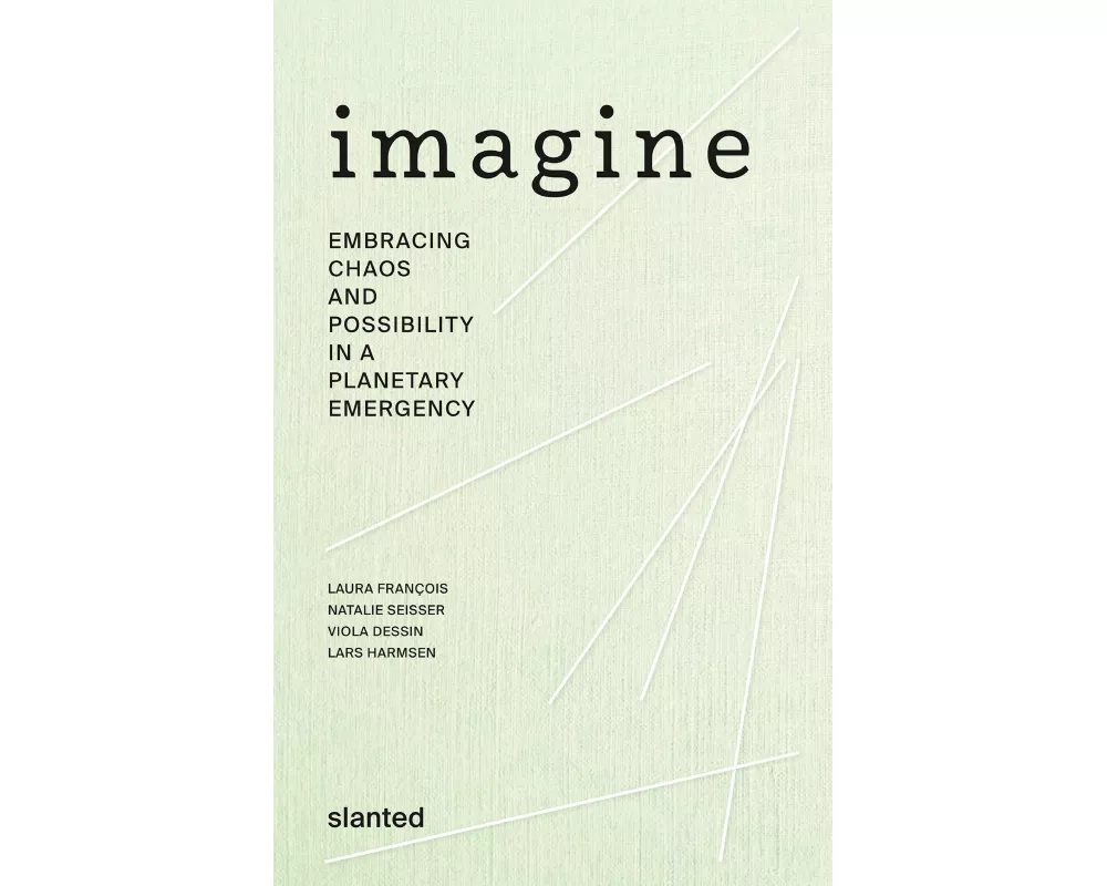 Imagine - Embracing Chaos and Possibility in a Planetary Emergency