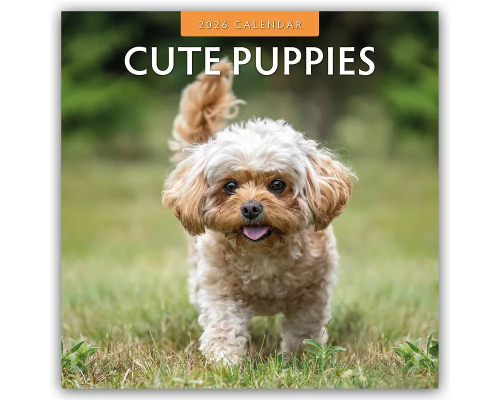 Cute Puppies 2026 Square Wall Calendar