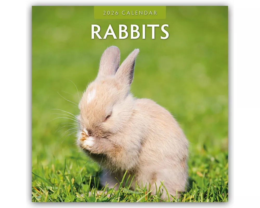 Rabbits 2026 Square Wall Calendar