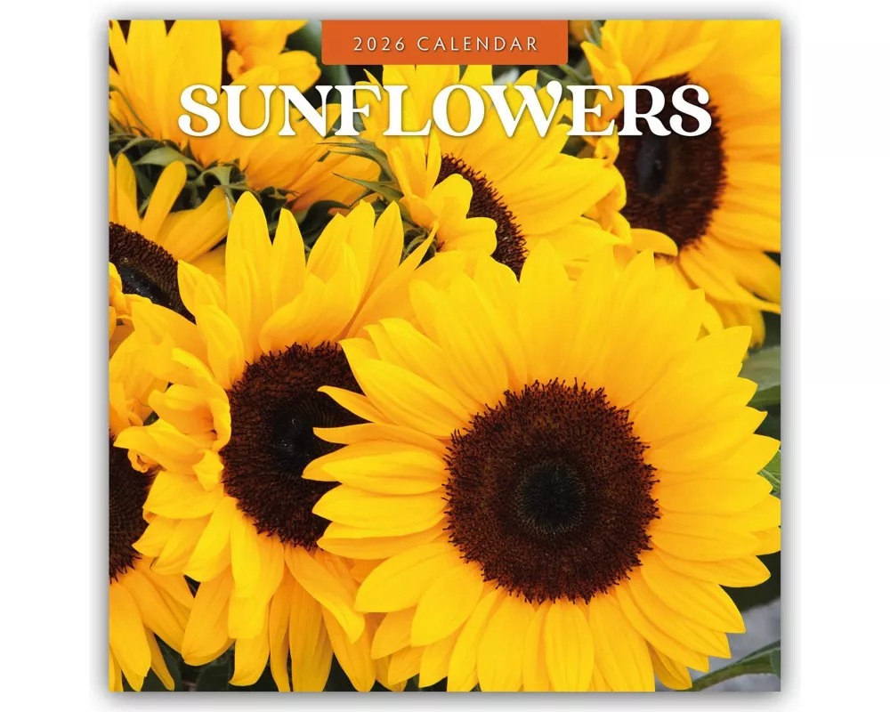 Sunflowers - Sonnenblumen 2026 - 16-Monatskalender