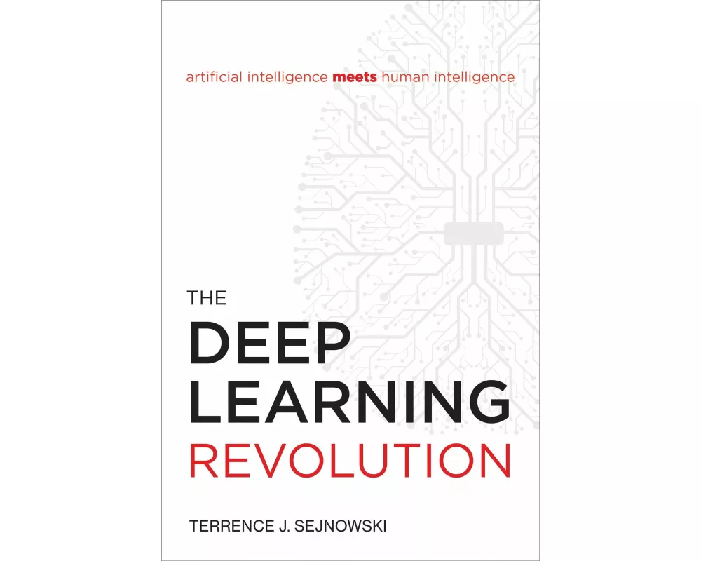 The Deep Learning Revolution