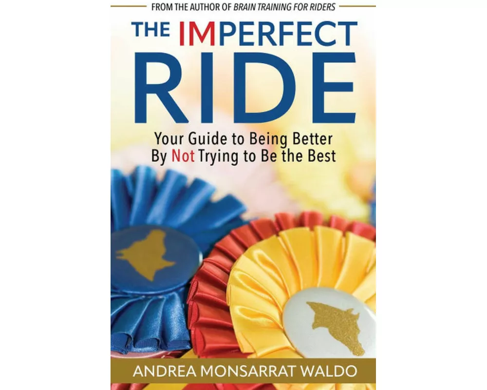 The Imperfect Ride