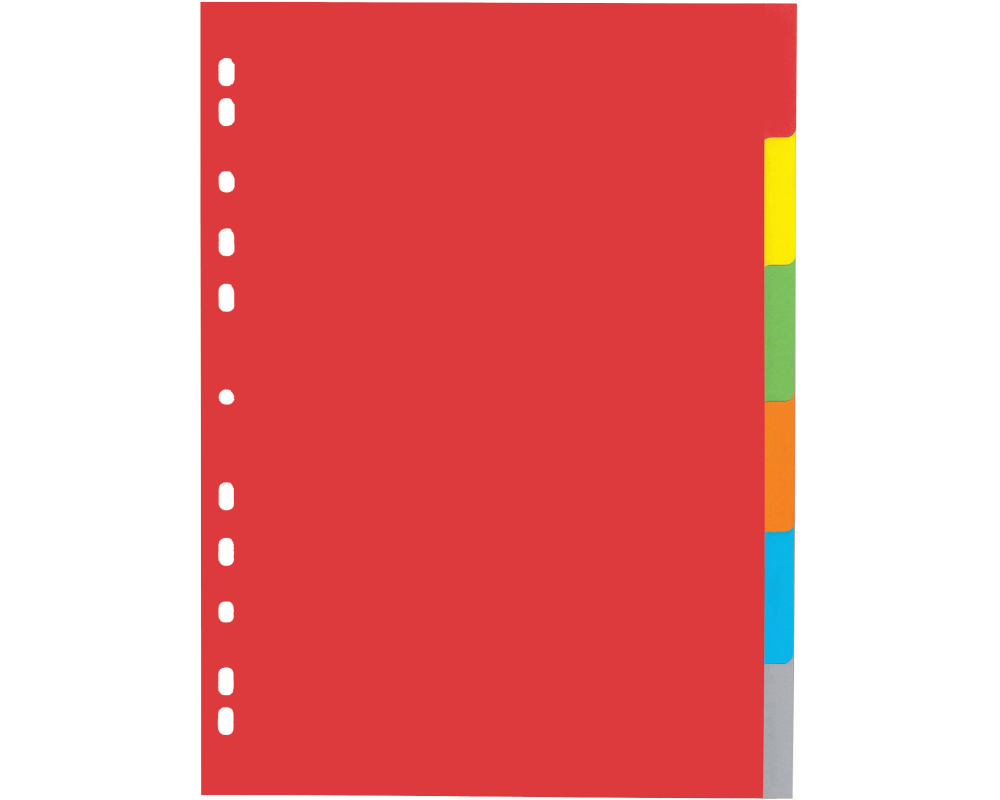 PAGNA Register Karton A4 31061-20 farbig 6-teilig