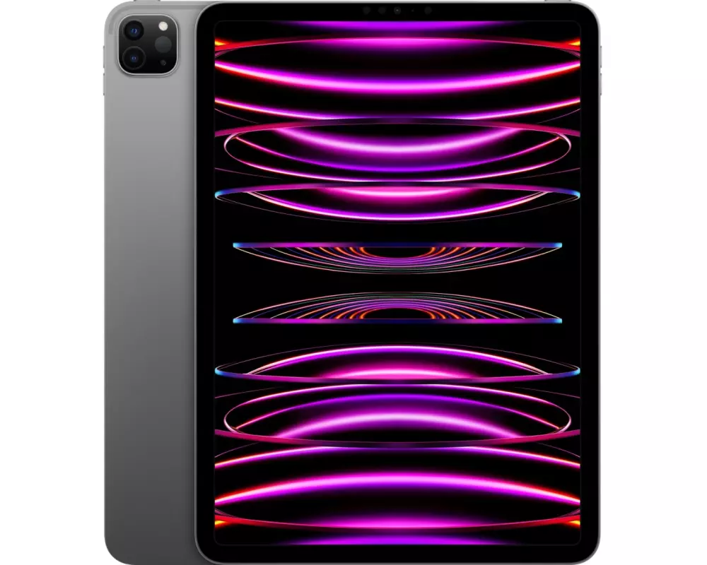 Apple iPad Pro 11" 2022 M2 Wifi 512 GB Grau