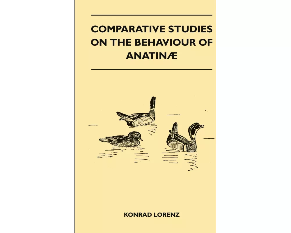 Comparative Studies on the Behaviour of Anatina