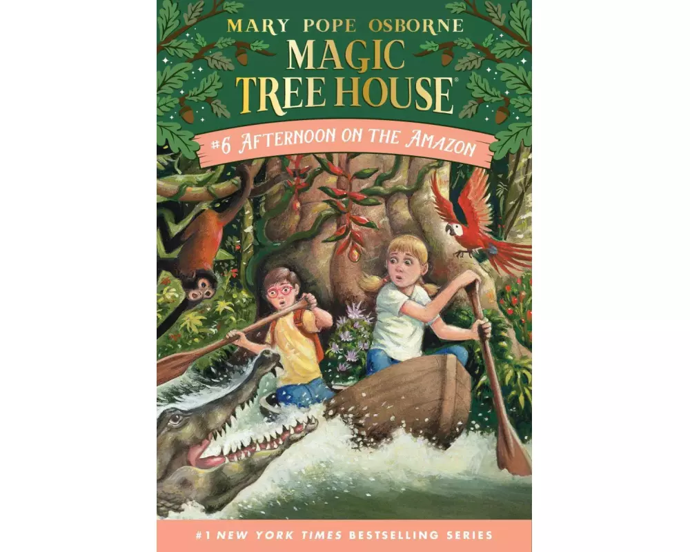 Afternoon on the Amazon