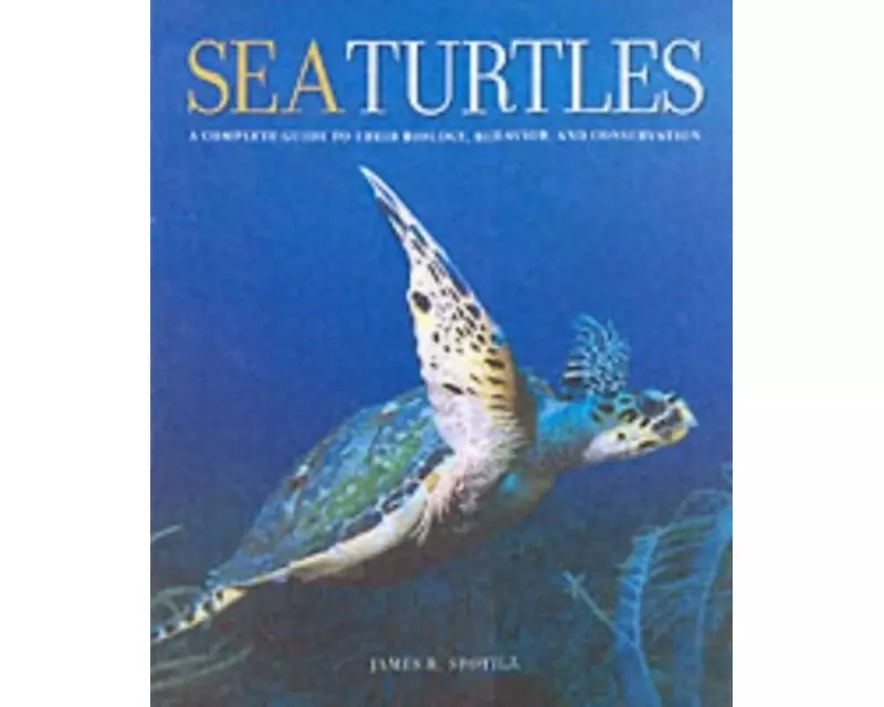 Sea Turtles