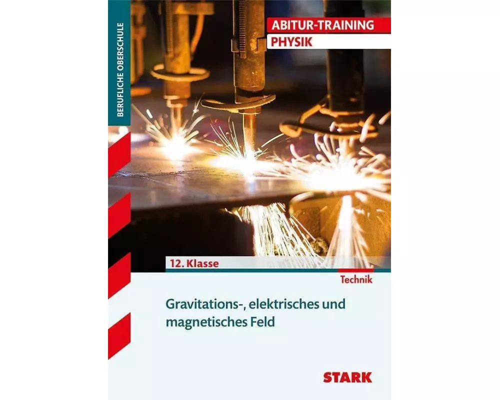 Training FOS/BOS Physik. Gravitations-, elektrisches und magnetisches Feld