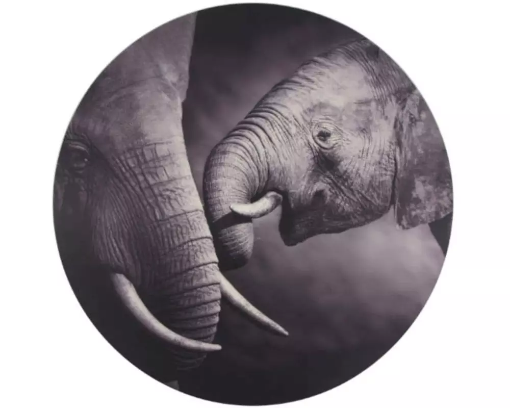 CHALET Bild Elefant Ø 58 cm