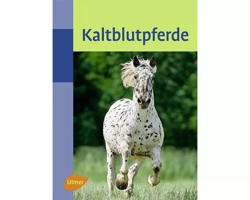 Kaltblutpferde