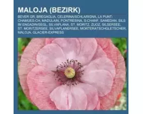 Maloja (Bezirk)