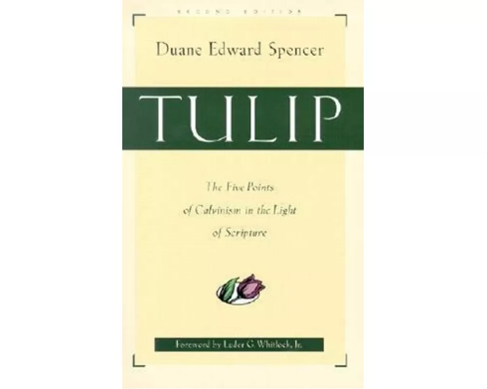 Tulip