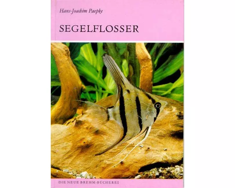 Die Segelflosser