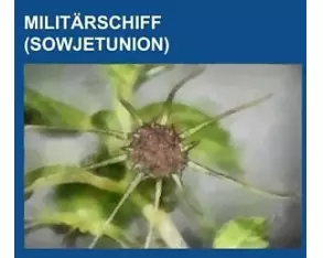 Militärschiff (Sowjetunion)