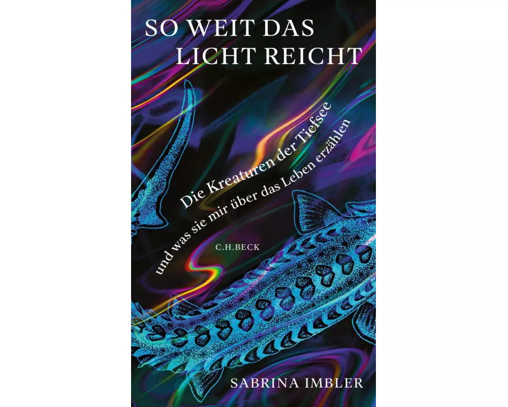 So weit das Licht reicht