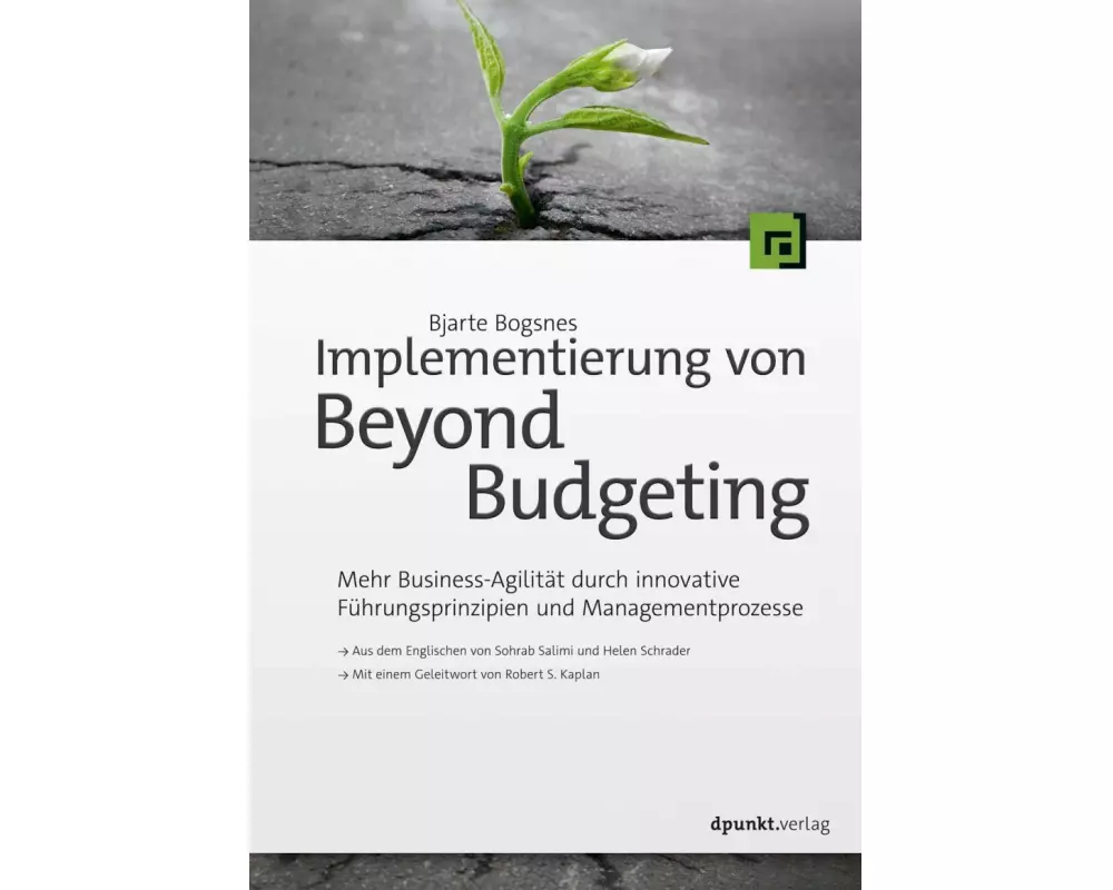Implementierung von Beyond Budgeting