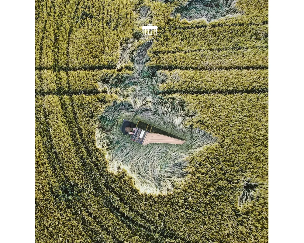 Bach:Partita & Concertos