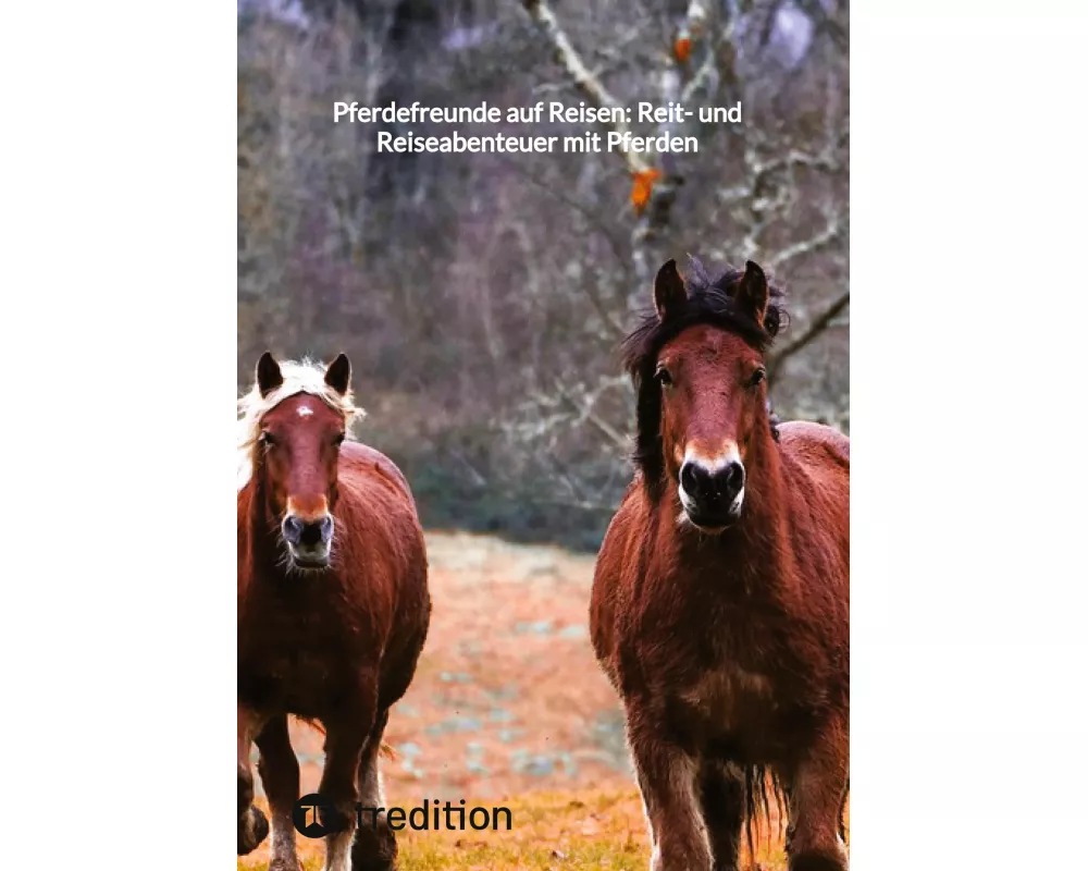 Pferdefreunde auf Reisen: Reit- und Reiseabenteuer mit Pferden