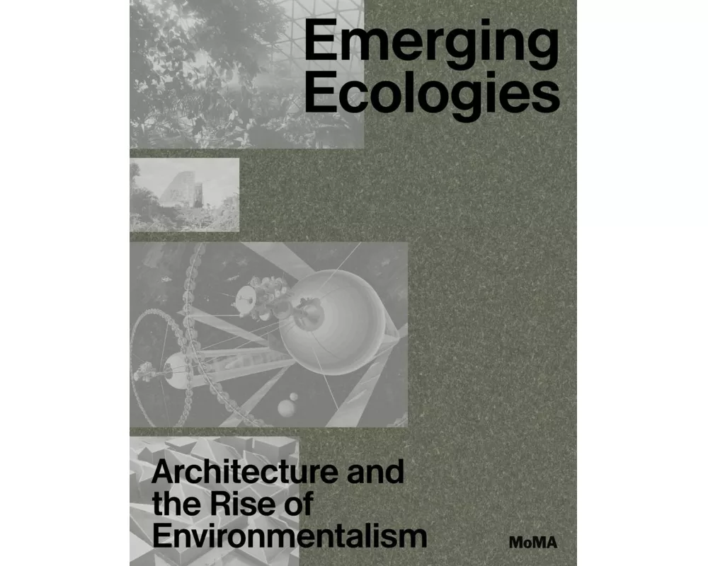 Emerging Ecologies