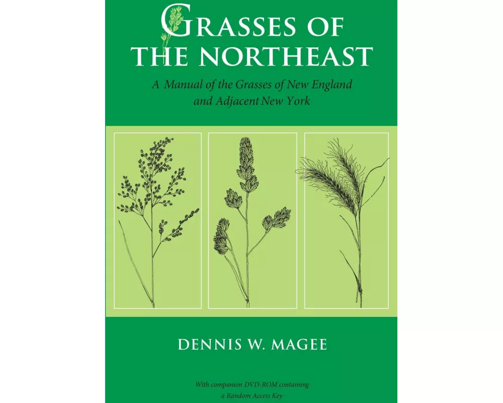 Grasses of the Northeast