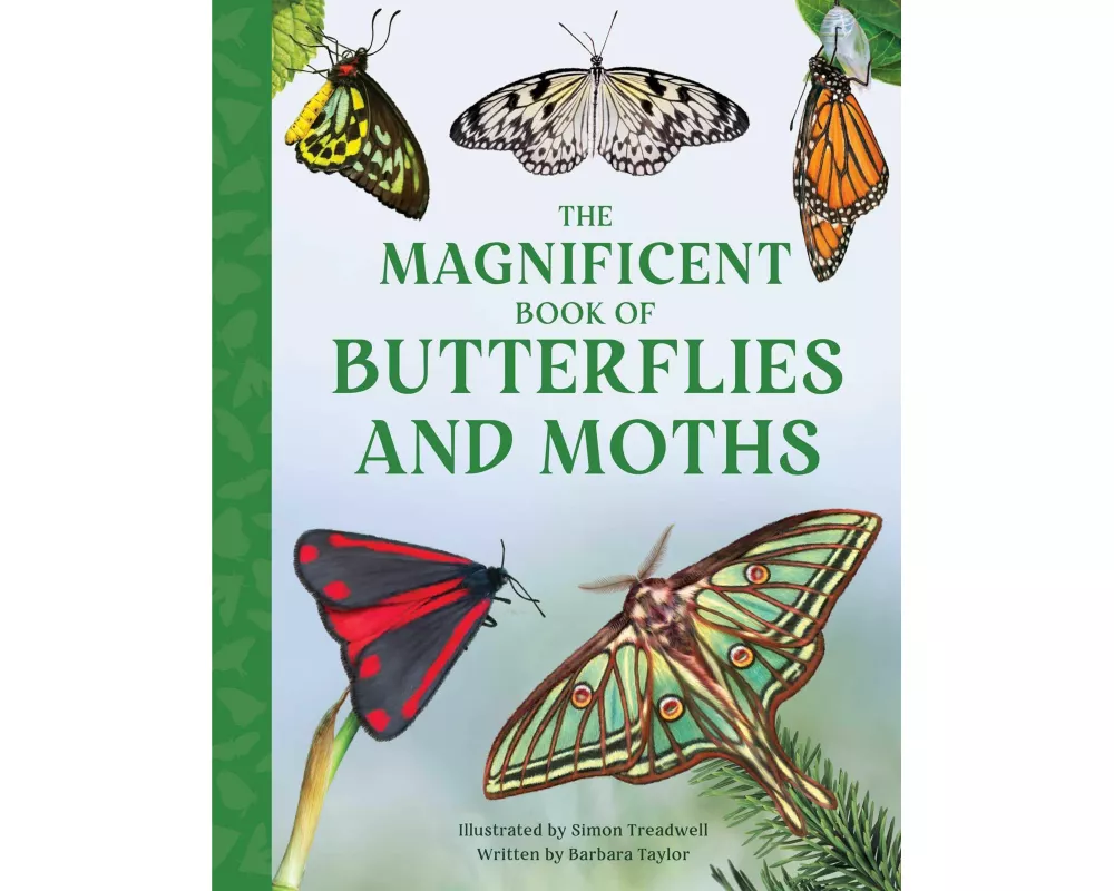 The Magnificent Book of Butterflies and Moths