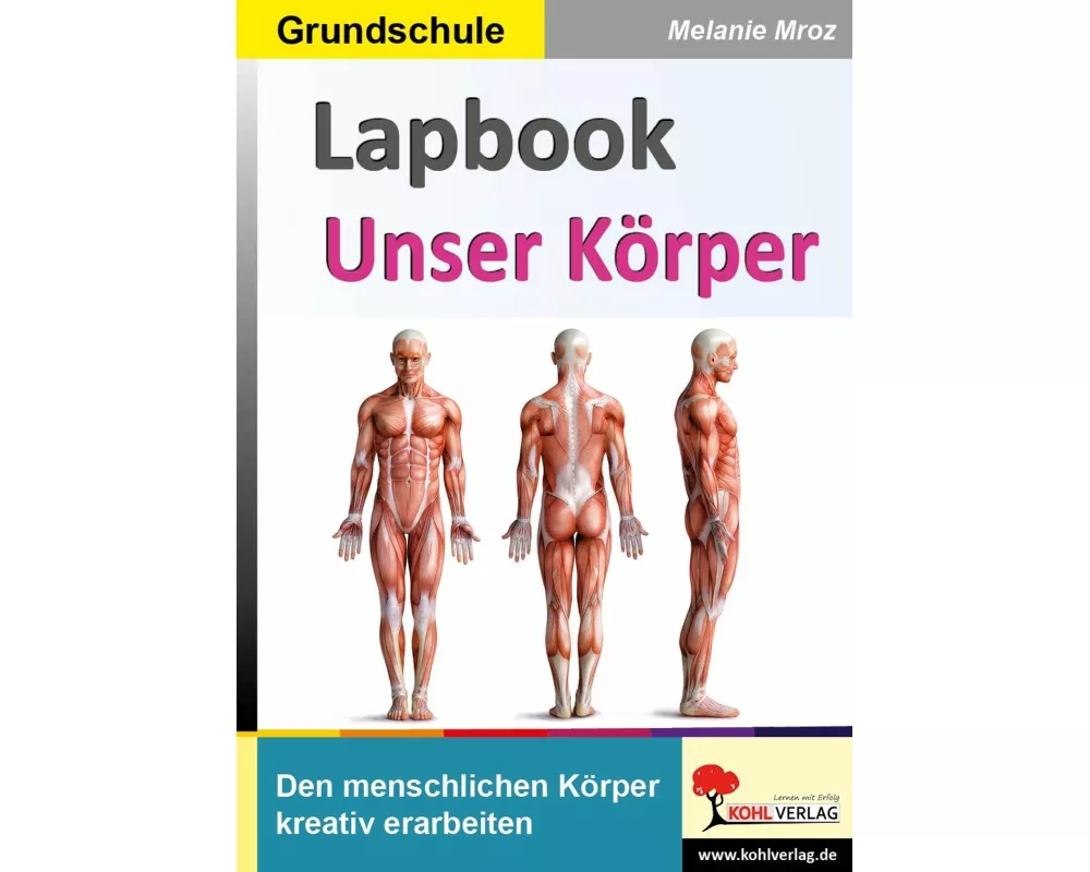 Lapbook Unser Körper