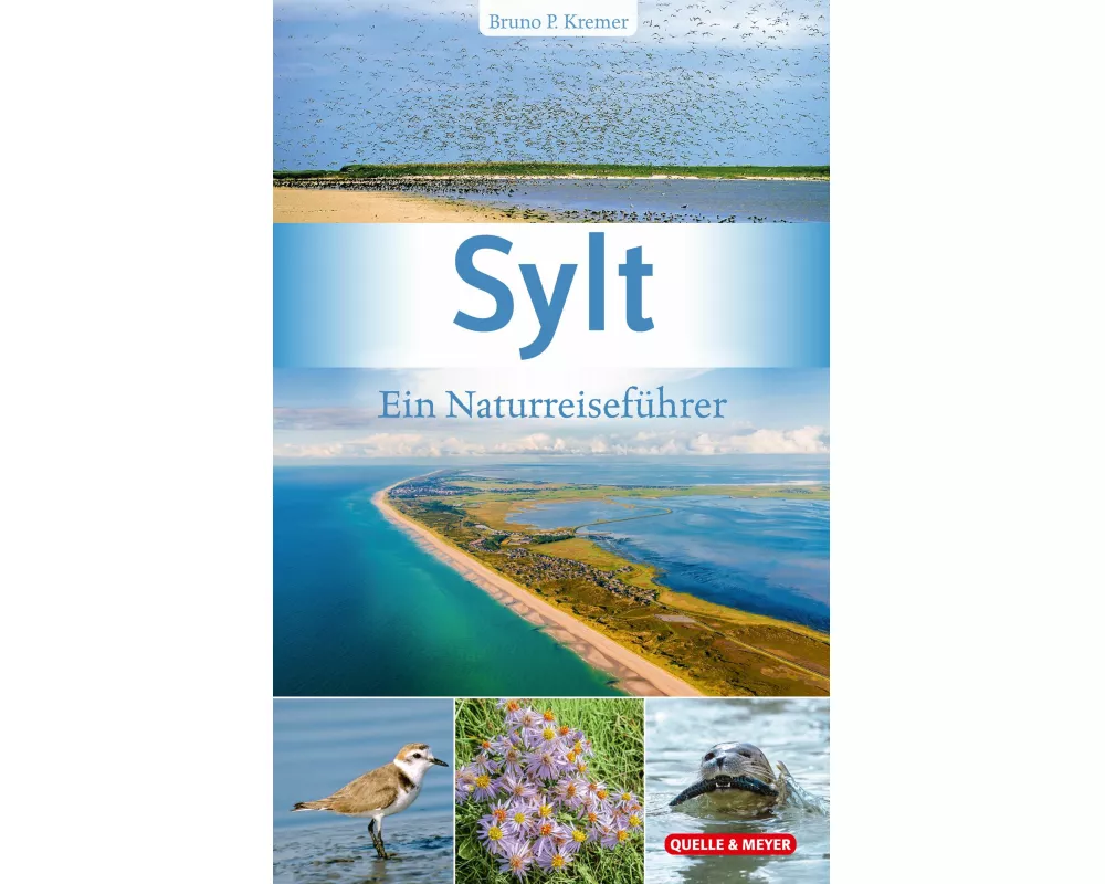 Sylt