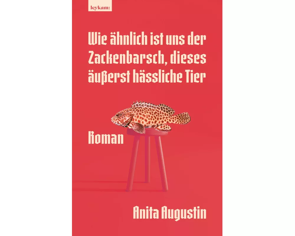 Wie ähnlich ist uns der Zackenbarsch, dieses äußerst hässliche Tier