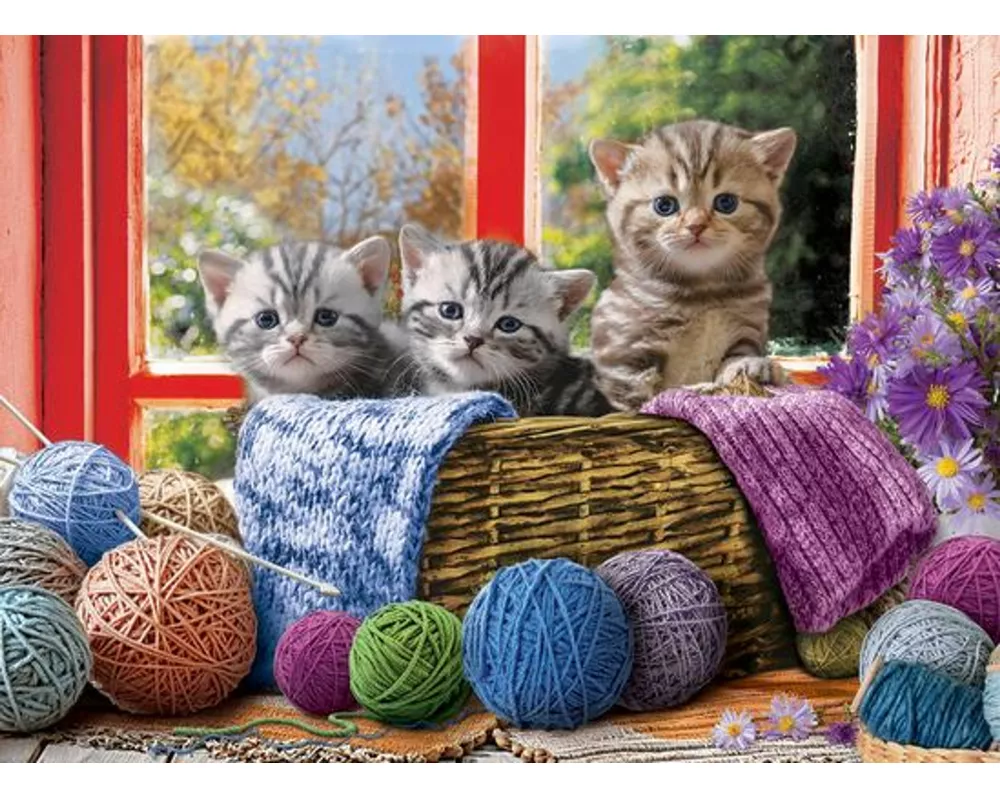 Knittin' Kittens