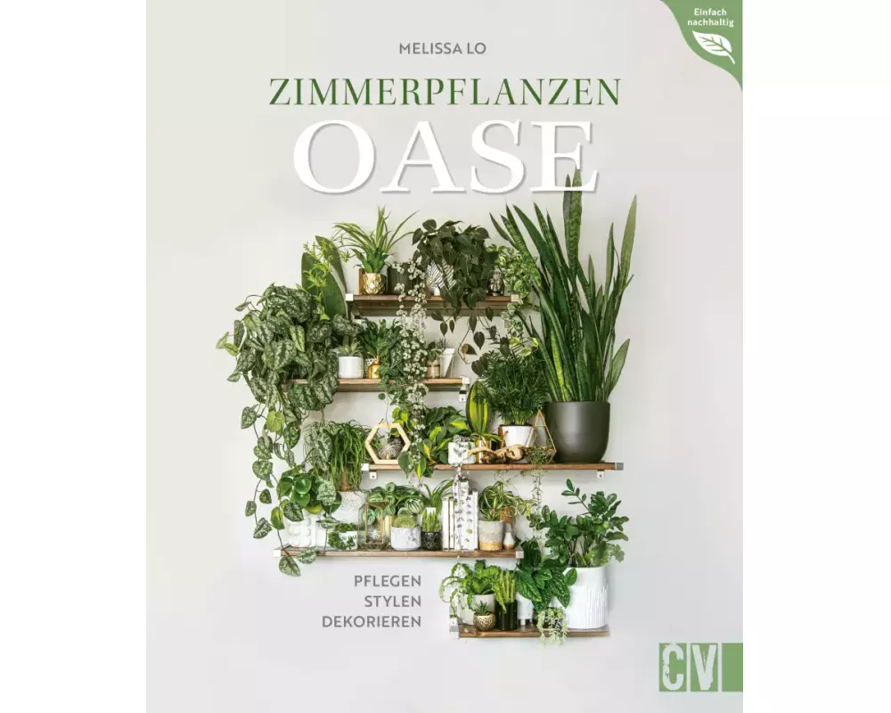 Zimmerpflanzen Oase