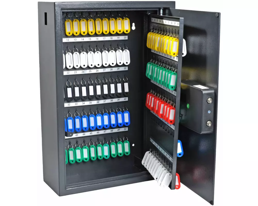 Pavo Schlüsselsafe Advanced 150 Haken, Grau