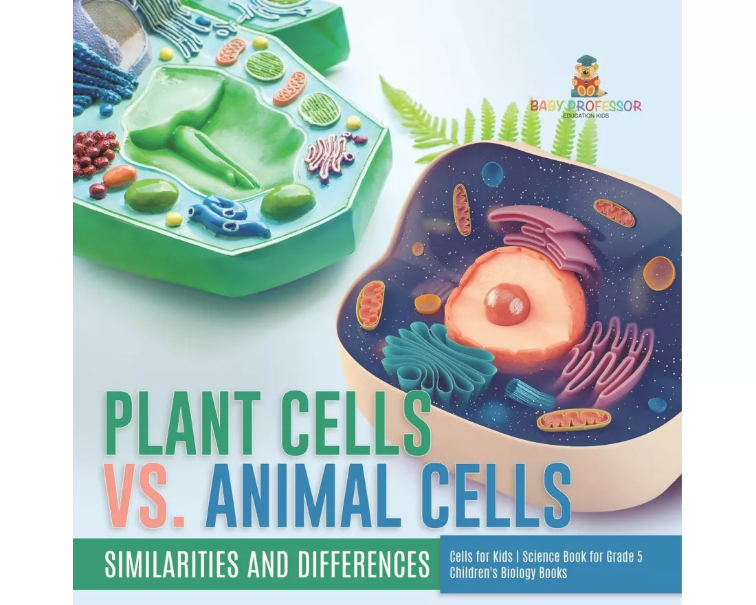 Plant Cells vs. Animal Cells