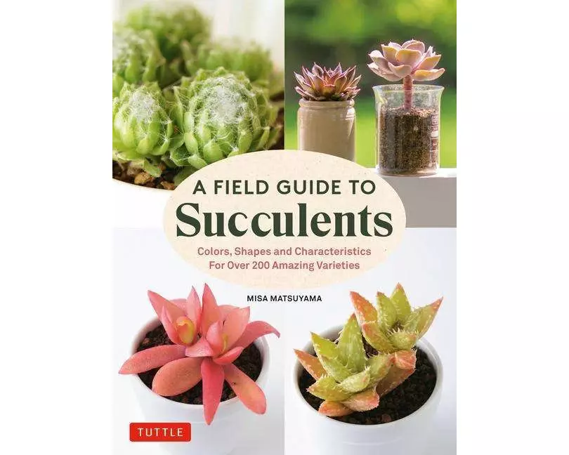 A Field Guide to Succulents