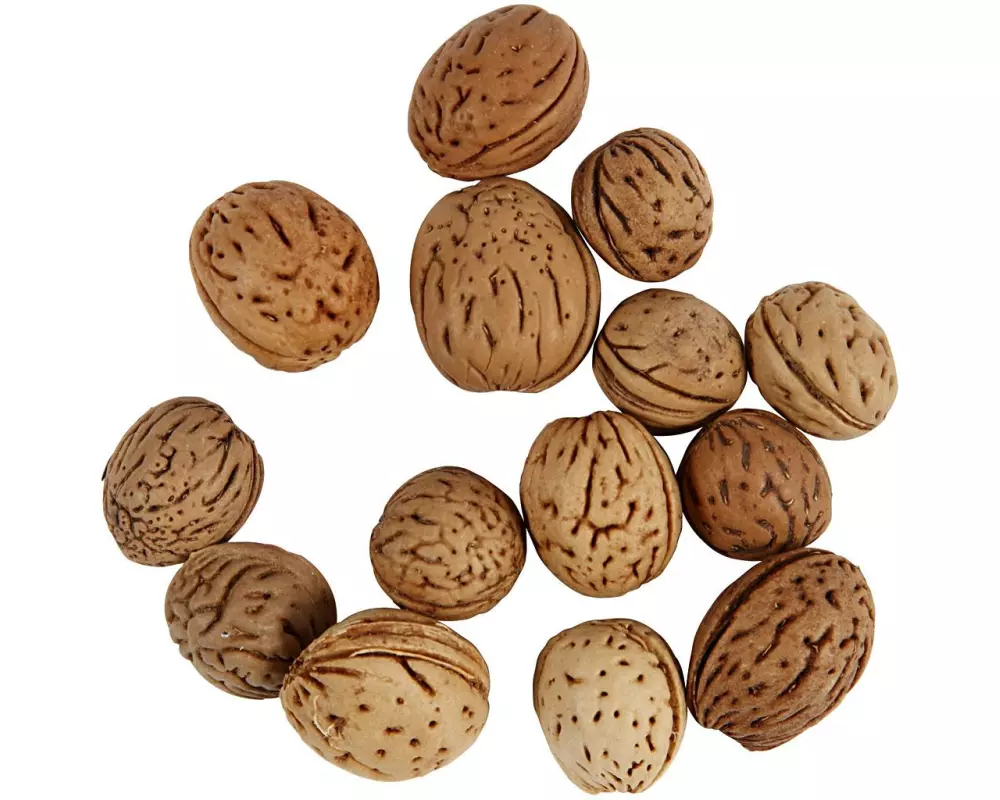 Creativ Company Streudeko Nüsse Deko 25 g