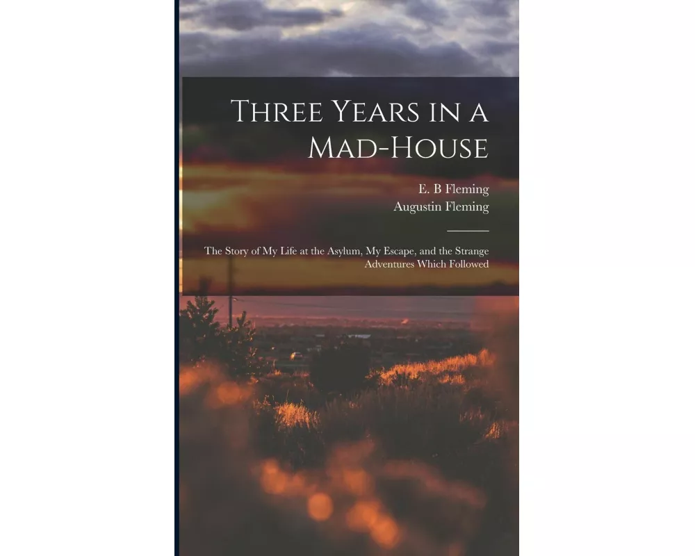 Three Years in a Mad-house