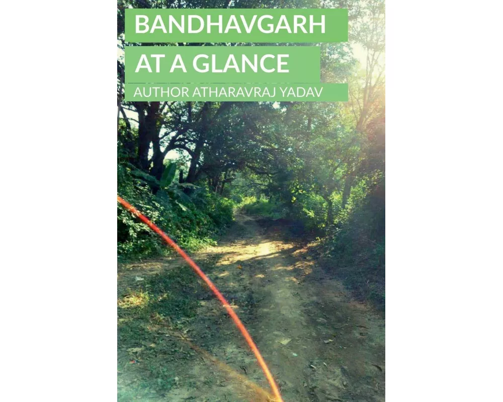 Bandhavgarh At a Glance