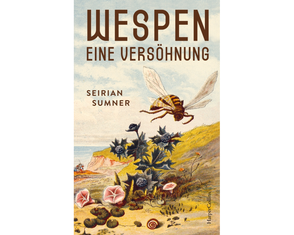 Wespen. Eine Versöhnung