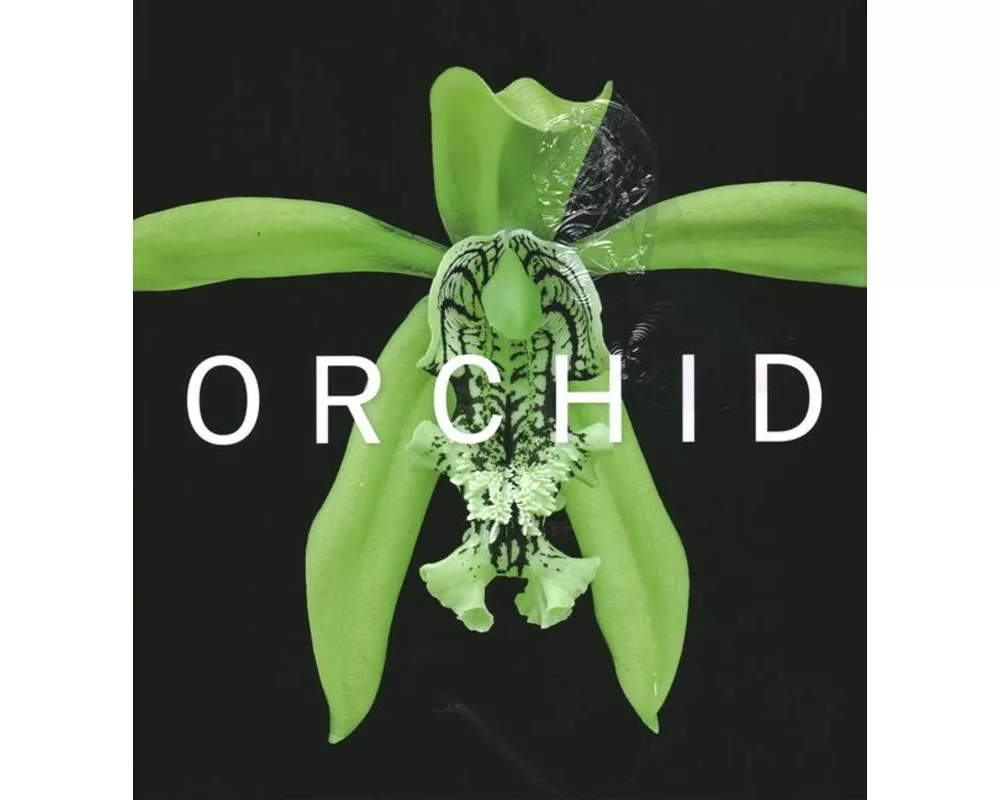 Orchid