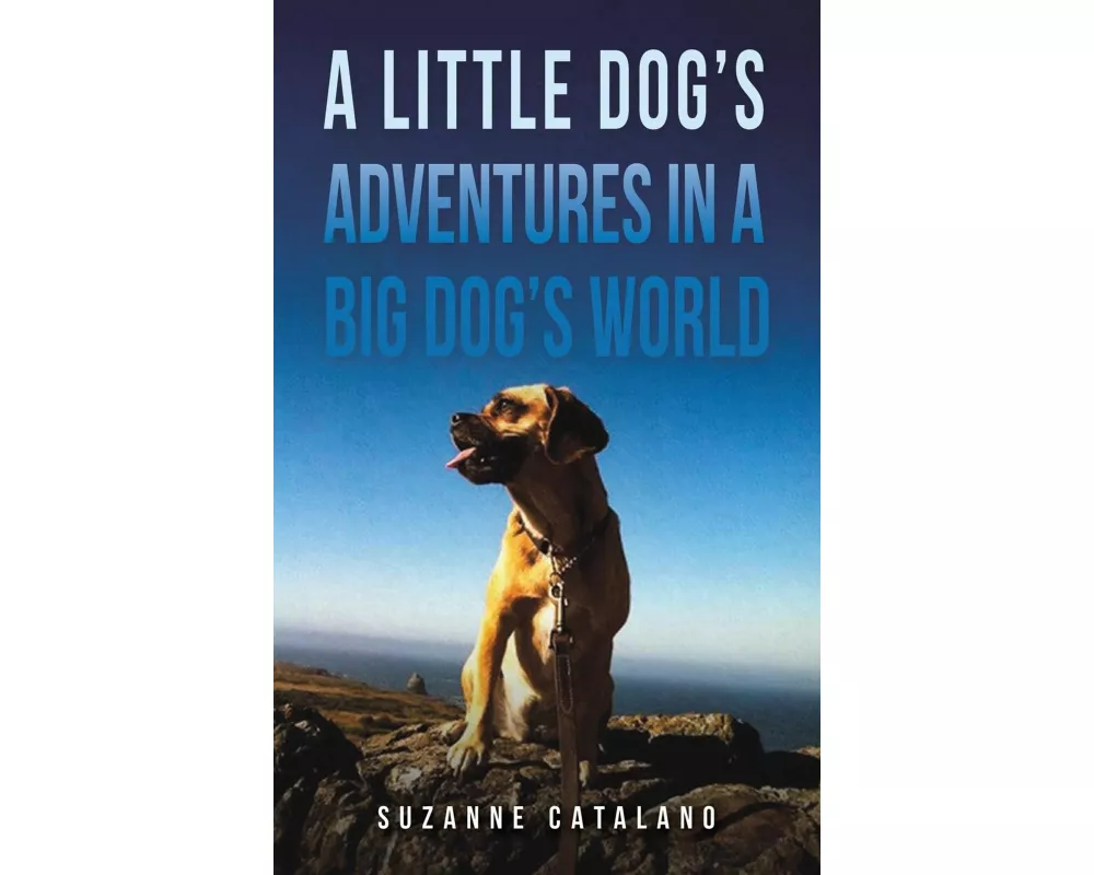 A Little Dog's Adventures in a Big Dog's World