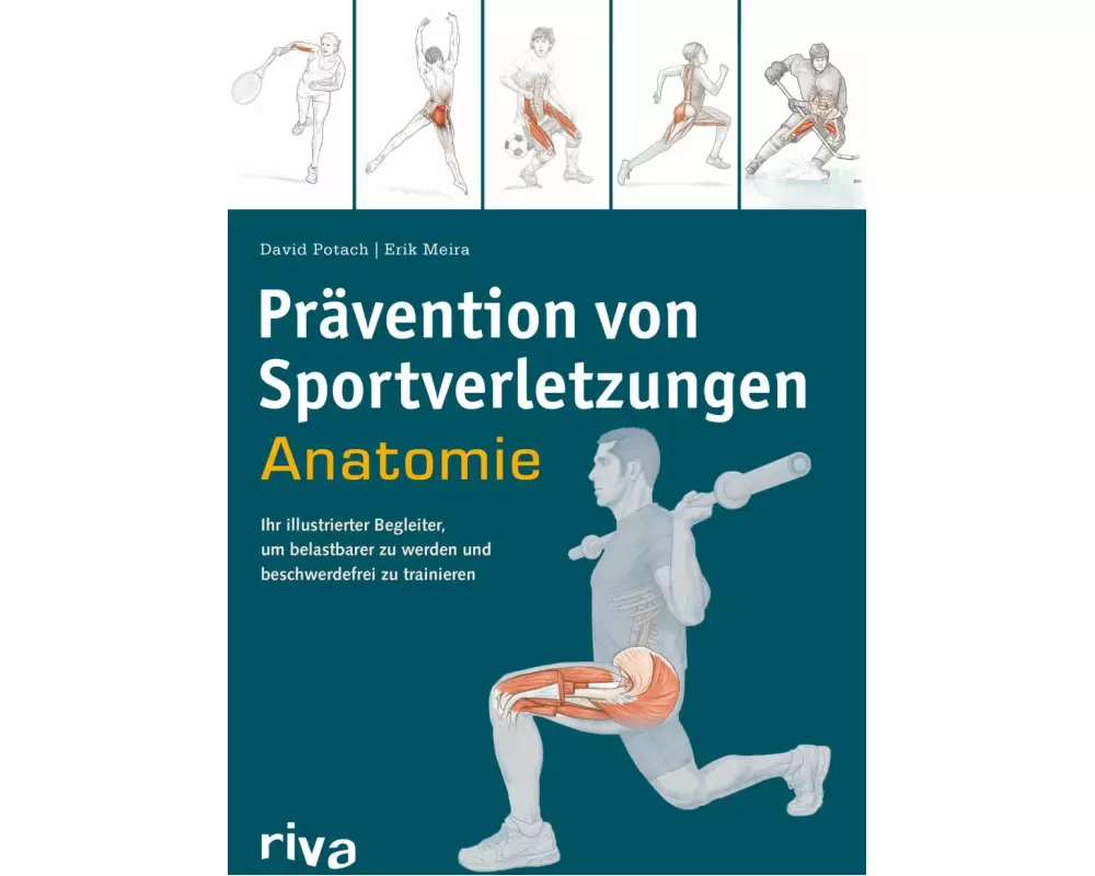 Prävention von Sportverletzungen – Anatomie
