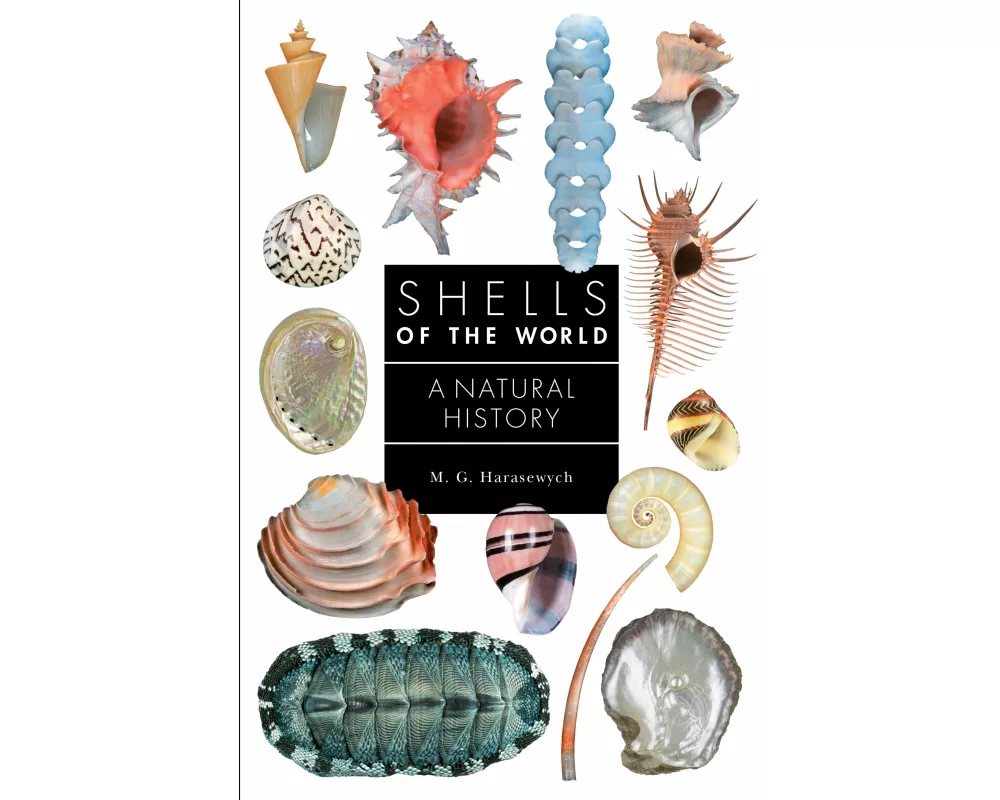 Shells of the World
