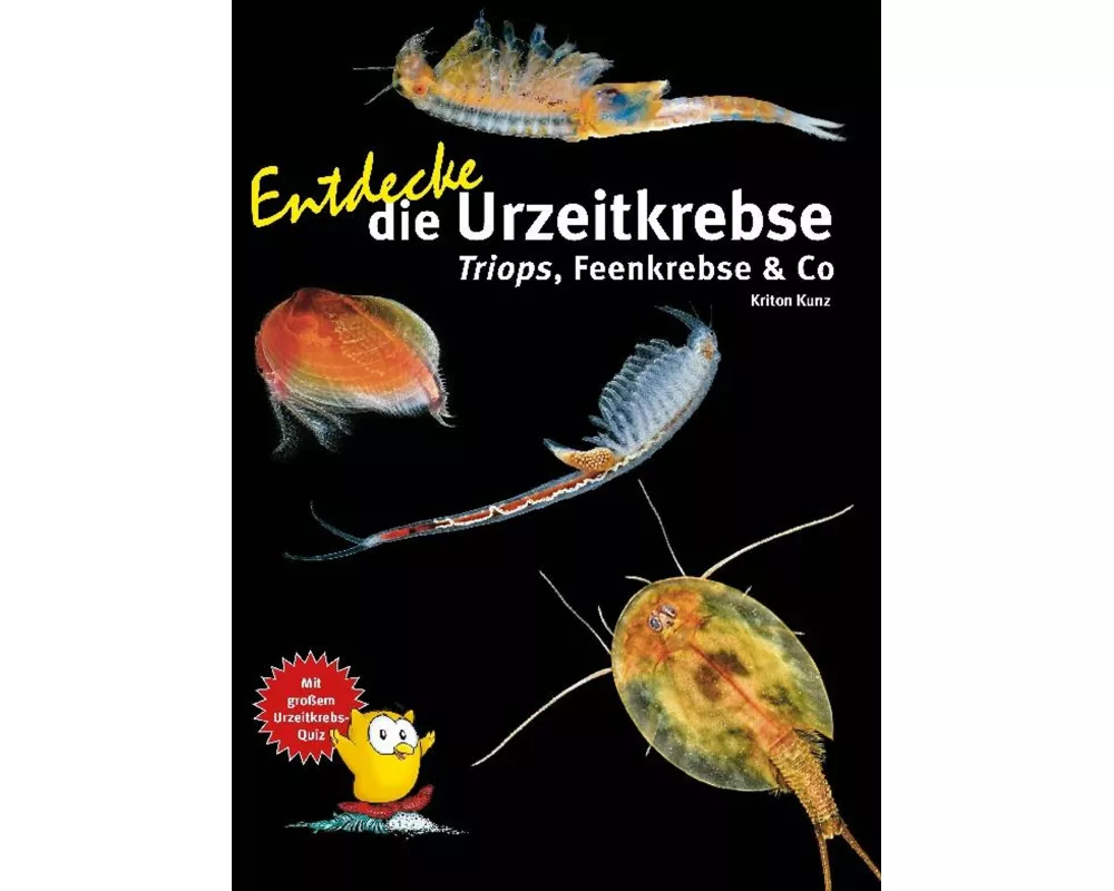 Entdecke die Urzeitkrebse