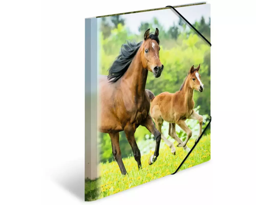 HERMA Gummibandmappe A4 Pferde, Polypropylen, mit Innendruck