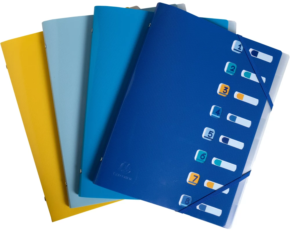 EXACOMPTA Ordnungsmappe A4 56110E sortiert PP, 8 Fächer