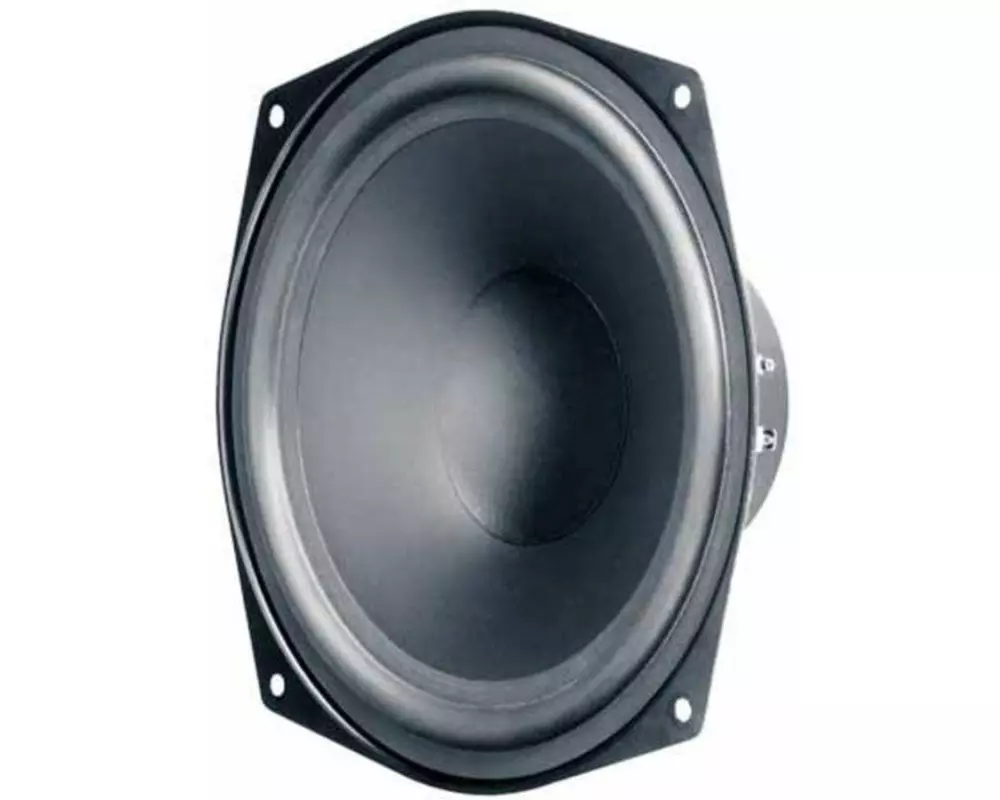 Visaton HiFi-Tieftöner WS 20 E