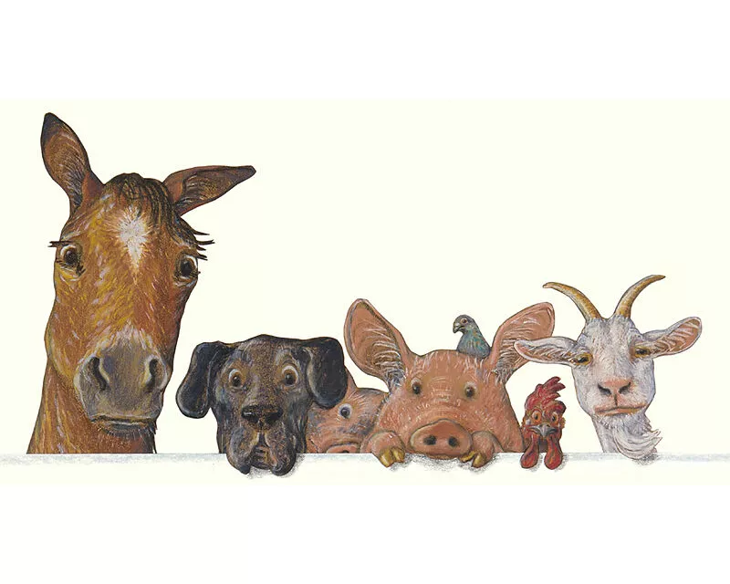 Über den Zaun Postkarte VE 1=10