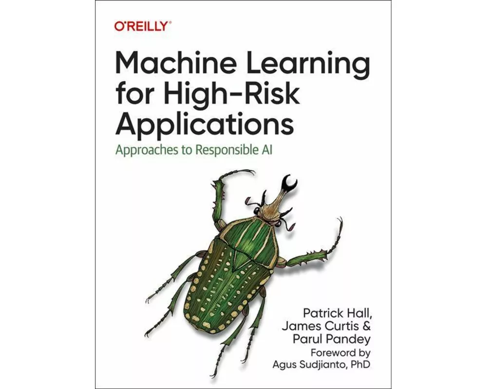 Machine Learning for High-Risk Applications